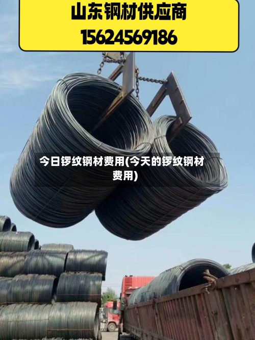 今日锣纹钢材费用(今天的锣纹钢材费用)-第3张图片