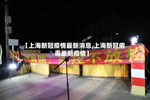 【上海新冠疫情最新消息,上海新冠病毒最新疫情】-第3张图片