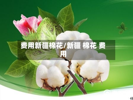 费用新疆棉花/新疆 棉花 费用-第2张图片