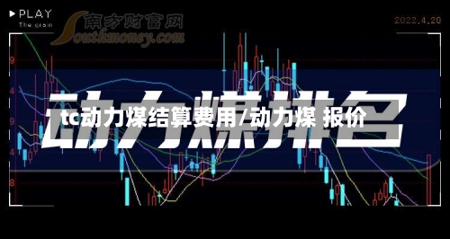 tc动力煤结算费用/动力煤 报价
