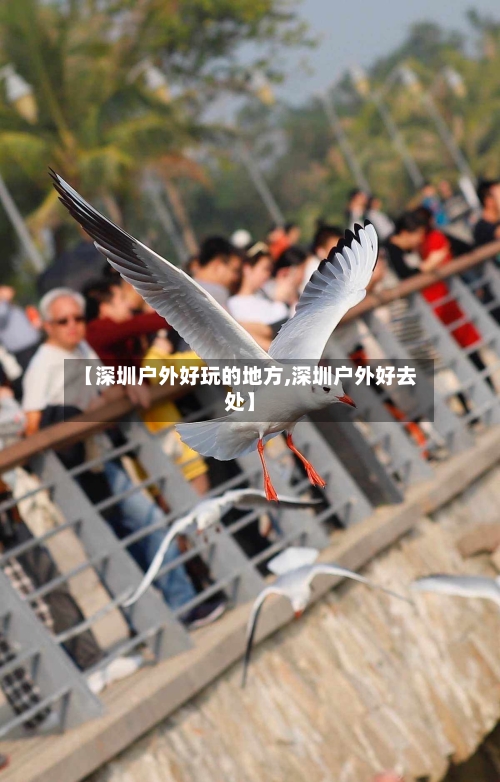 【深圳户外好玩的地方,深圳户外好去处】-第2张图片