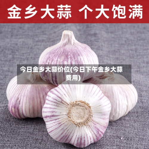 今日金乡大蒜价位(今日下午金乡大蒜费用)-第2张图片