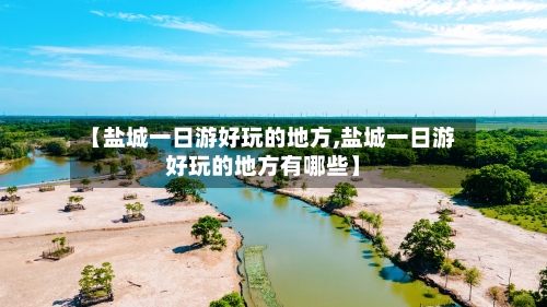 【盐城一日游好玩的地方,盐城一日游好玩的地方有哪些】-第3张图片