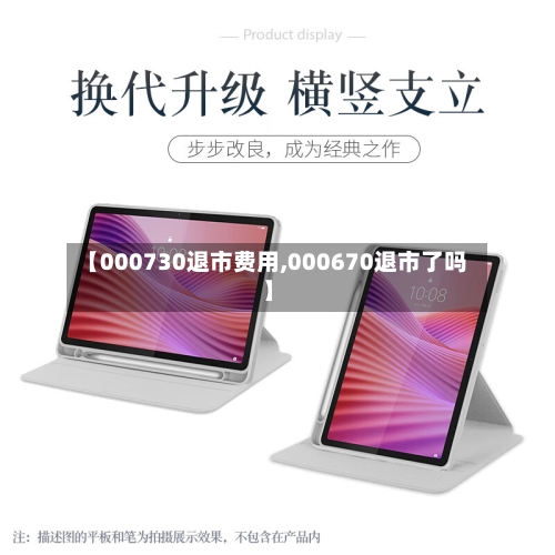 【000730退市费用,000670退市了吗】-第3张图片