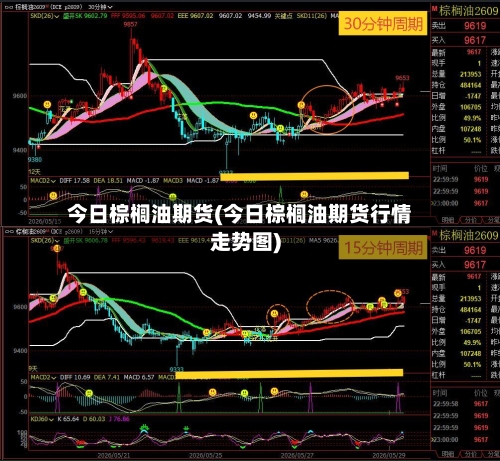 今日棕榈油期货(今日棕榈油期货行情走势图)-第1张图片
