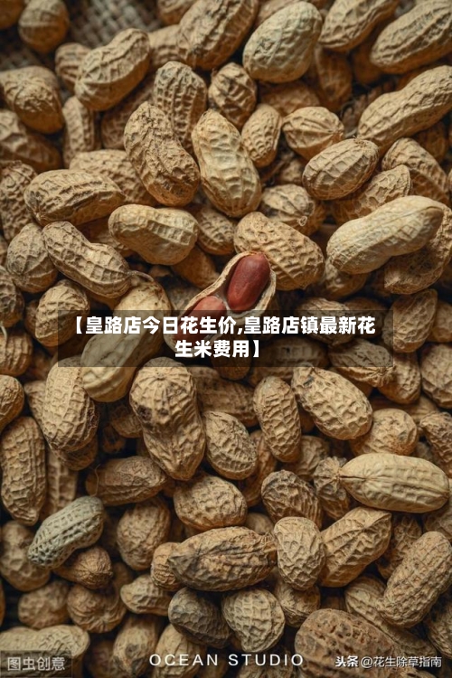 【皇路店今日花生价,皇路店镇最新花生米费用】-第3张图片