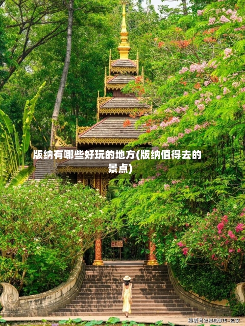 版纳有哪些好玩的地方(版纳值得去的景点)-第2张图片