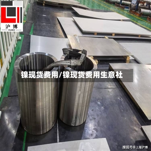 镍现货费用/镍现货费用生意社-第1张图片