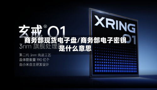 商务部现货电子盘/商务部电子密钥是什么意思-第1张图片