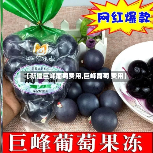 【新疆巨峰葡萄费用,巨峰葡萄 费用】-第2张图片