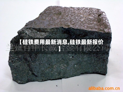 【硅铁费用最新消息,硅铁最新报价】-第2张图片