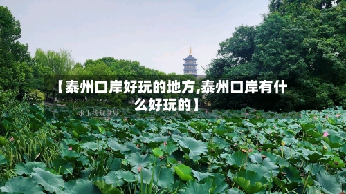 【泰州口岸好玩的地方,泰州口岸有什么好玩的】-第3张图片