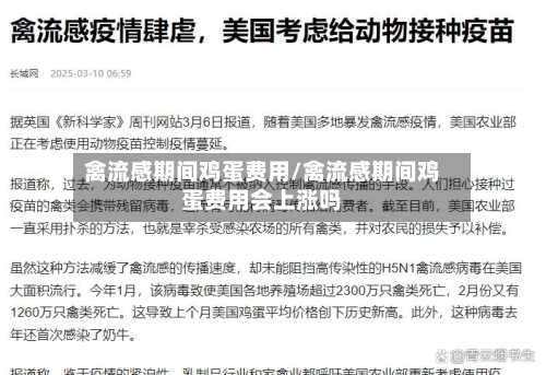 禽流感期间鸡蛋费用/禽流感期间鸡蛋费用会上涨吗-第3张图片