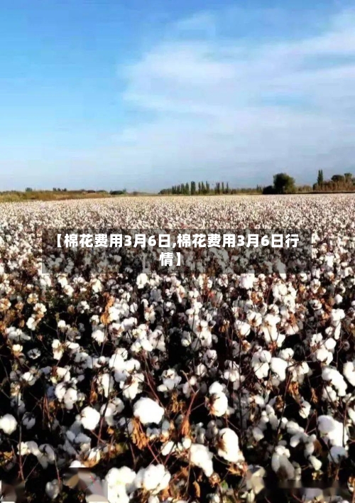【棉花费用3月6日,棉花费用3月6日行情】-第3张图片