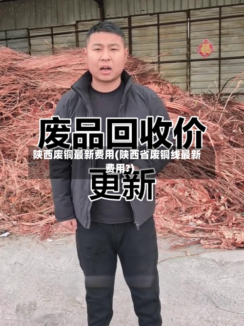 陕西废铜最新费用(陕西省废铜线最新费用?)-第2张图片