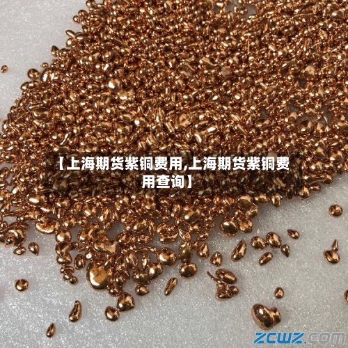 【上海期货紫铜费用,上海期货紫铜费用查询】-第2张图片