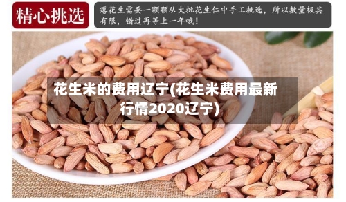 花生米的费用辽宁(花生米费用最新行情2020辽宁)-第2张图片