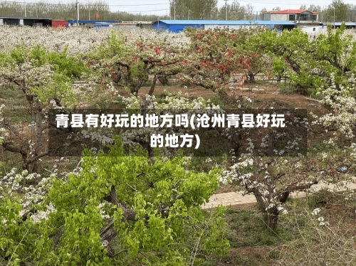 青县有好玩的地方吗(沧州青县好玩的地方)-第1张图片