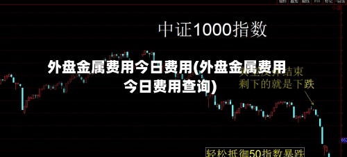 外盘金属费用今日费用(外盘金属费用今日费用查询)-第3张图片