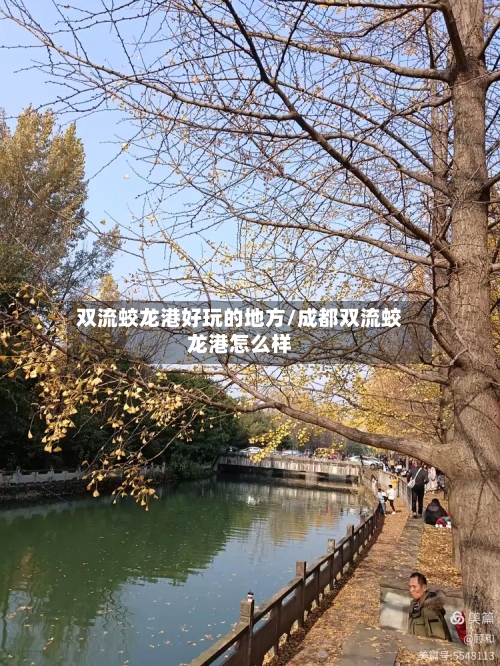 双流蛟龙港好玩的地方/成都双流蛟龙港怎么样-第3张图片