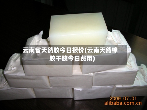 云南省天然胶今日报价(云南天然橡胶干胶今日费用)-第3张图片
