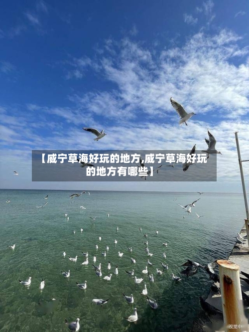 【威宁草海好玩的地方,威宁草海好玩的地方有哪些】-第1张图片