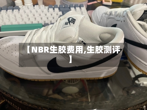 【NBR生胶费用,生胶测评】-第1张图片