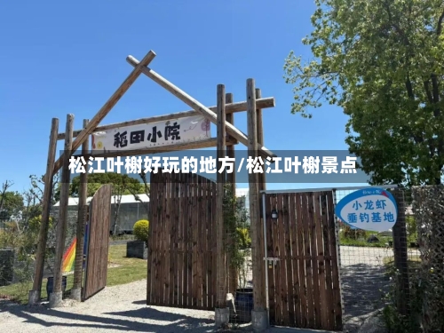 松江叶榭好玩的地方/松江叶榭景点-第2张图片