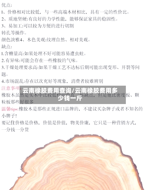 云南橡胶费用查询/云南橡胶费用多少钱一斤-第2张图片