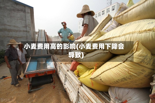 小麦费用高的影响(小麦费用下降会导致)-第1张图片