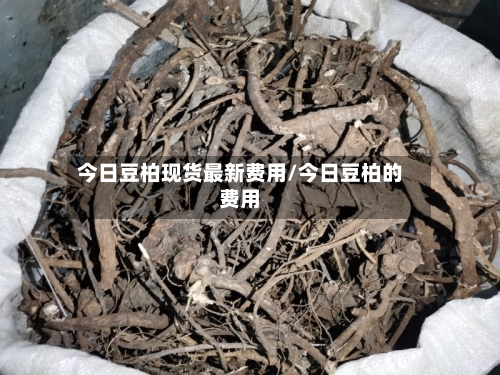 今日豆柏现货最新费用/今日豆柏的费用-第1张图片
