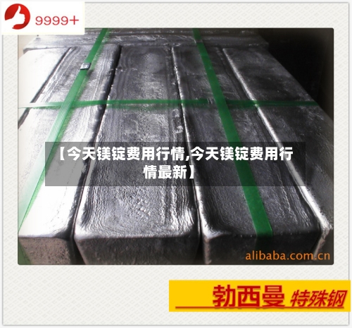 【今天镁锭费用行情,今天镁锭费用行情最新】-第2张图片